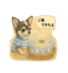 ふわふわチワワの夏スタンプ（個別スタンプ：28）