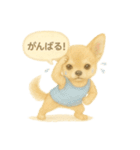 ふわふわチワワの夏スタンプ（個別スタンプ：32）