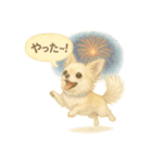 ふわふわチワワの夏スタンプ（個別スタンプ：40）