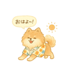 ぽめのふわふわ夏スタンプ（個別スタンプ：1）