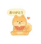 ぽめのふわふわ夏スタンプ（個別スタンプ：15）