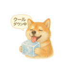 柴犬の夏だより（個別スタンプ：2）