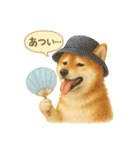 柴犬の夏だより（個別スタンプ：3）