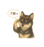 柴犬の夏だより（個別スタンプ：7）