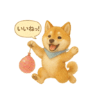 柴犬の夏だより（個別スタンプ：9）