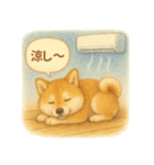 柴犬の夏だより（個別スタンプ：15）