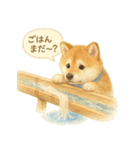 柴犬の夏だより（個別スタンプ：16）