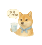柴犬の夏だより（個別スタンプ：18）
