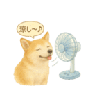 柴犬の夏だより（個別スタンプ：21）