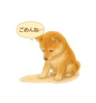 柴犬の夏だより（個別スタンプ：25）