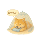 柴犬の夏だより（個別スタンプ：27）
