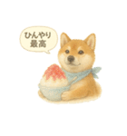 柴犬の夏だより（個別スタンプ：28）