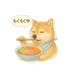 柴犬の夏だより（個別スタンプ：29）