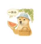 柴犬の夏だより（個別スタンプ：35）