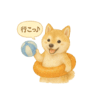 柴犬の夏だより（個別スタンプ：37）