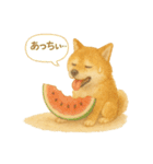 柴犬の夏だより（個別スタンプ：40）