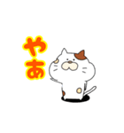 ネコ缶（個別スタンプ：1）