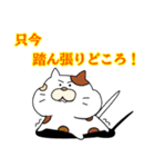 ネコ缶（個別スタンプ：24）