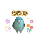 石田家のポッケ3（個別スタンプ：1）