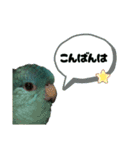 石田家のポッケ3（個別スタンプ：5）