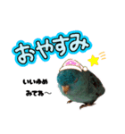石田家のポッケ3（個別スタンプ：6）