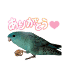 石田家のポッケ3（個別スタンプ：7）