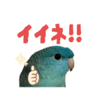 石田家のポッケ3（個別スタンプ：12）