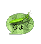 スマホの上の昆虫5（アニメーション）（個別スタンプ：14）