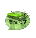 スマホの上の昆虫5（アニメーション）（個別スタンプ：16）