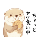 わがまま甘えたいカワウソ3[構って/寂しい]（個別スタンプ：31）