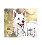 ホワイトスイスシェパードドッグ（個別スタンプ：2）