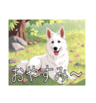 ホワイトスイスシェパードドッグ（個別スタンプ：4）