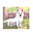 ホワイトスイスシェパードドッグ（個別スタンプ：5）