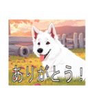 ホワイトスイスシェパードドッグ（個別スタンプ：6）