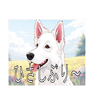 ホワイトスイスシェパードドッグ（個別スタンプ：9）