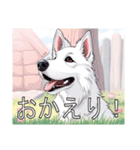 ホワイトスイスシェパードドッグ（個別スタンプ：13）