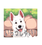 ホワイトスイスシェパードドッグ（個別スタンプ：14）