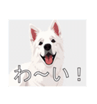 ホワイトスイスシェパードドッグ（個別スタンプ：18）