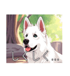 ホワイトスイスシェパードドッグ（個別スタンプ：22）