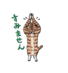 にゃん吉ドーナツ刺繍のスタンプ パート2（個別スタンプ：22）