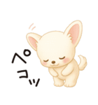 とことこチワワたん。丁寧な言葉。（個別スタンプ：6）