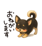 とことこチワワたん。丁寧な言葉。（個別スタンプ：8）