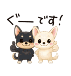 とことこチワワたん。丁寧な言葉。（個別スタンプ：13）