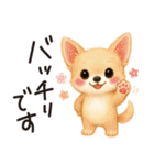 とことこチワワたん。丁寧な言葉。（個別スタンプ：15）