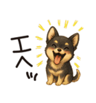 とことこチワワたん。丁寧な言葉。（個別スタンプ：37）