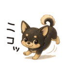 とことこチワワたん。丁寧な言葉。（個別スタンプ：39）
