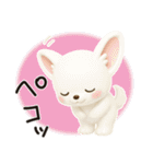 チワワたん✿3Dちびドール（個別スタンプ：6）