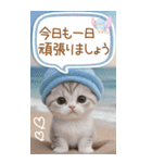 スコティッシュ猫 吹き出し 夏 BIG 敬語（個別スタンプ：2）