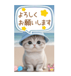 スコティッシュ猫 吹き出し 夏 BIG 敬語（個別スタンプ：14）