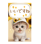 スコティッシュ猫 吹き出し 夏 BIG 敬語（個別スタンプ：15）